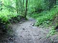 Le chemin creux serpentant dans la forêt vers les ruisseaux